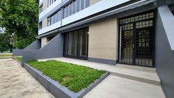 Dunearn Road (D11), Condominium #474200751
